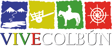 Vive Colbún